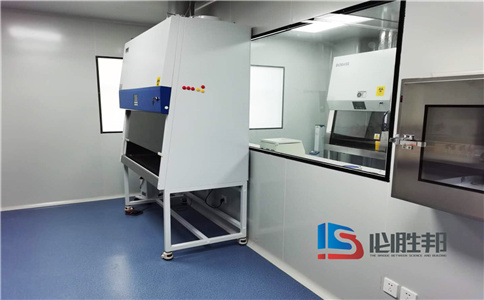 微生物实验室设计公司平面布局详解